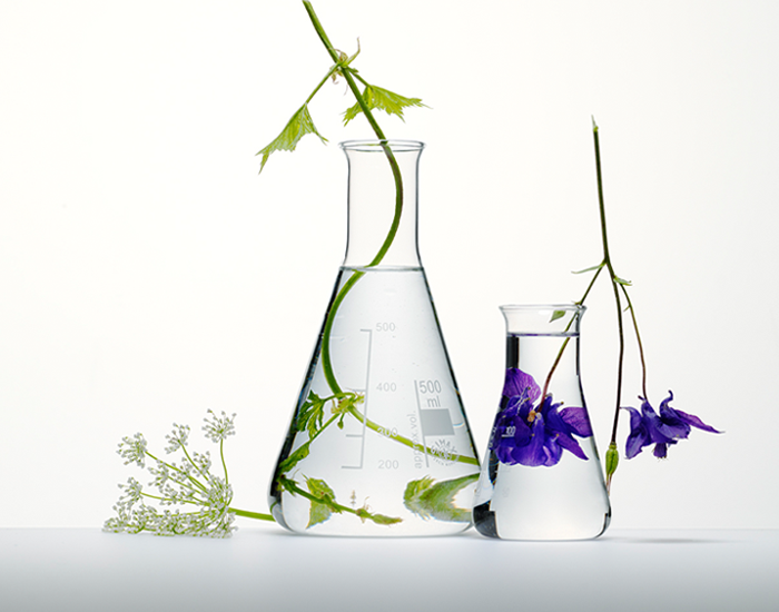 Blomster placeret ved siden af reagensglas, hvilket antyder et botanisk eller videnskabeligt miljø.
