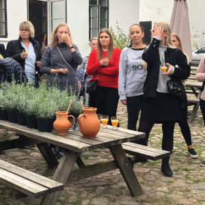 Urteskole 27 Deltagere ved et arrangement på en urteskole, hvor de lærer om planter og arbejder med dem.