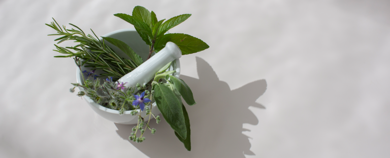 di banner image herbs